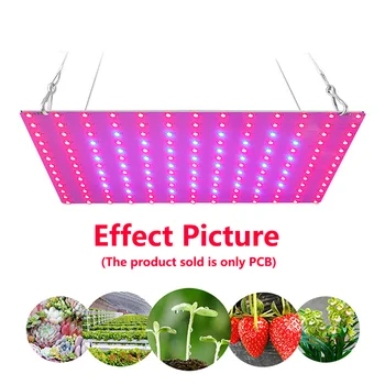 3 шт. Светодиодный светильник для выращивания 120 Вт SM LM281b + 3000 К 5000 К Красный 660 нм DC48V Полный Спектр Света для выращивания Овощей с Высоким Охватом и Цветущая Модель