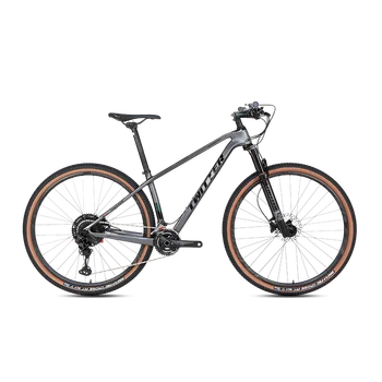 TWITTERbicycle WARRIORpr SRAM SX EAGLE-12 скоростей 29 дюймов алюминиевое колесо из углеродного волокна горный велосипед гидравлический дисковый тормоз велосипед