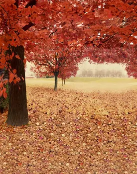 5x7ft Осенние Красные листья Дерево Фотографии Фонов Реквизит для фотосъемки Студийный фон